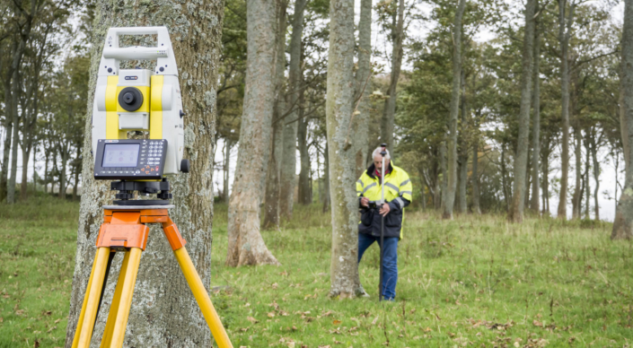 Woodland Tree Surveys Woodland Tree Surveys